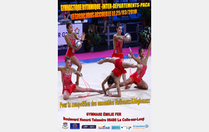 RESULTATS - Compétition inter-régionale - Ensembles Nationaux, performance, RD B, RE 